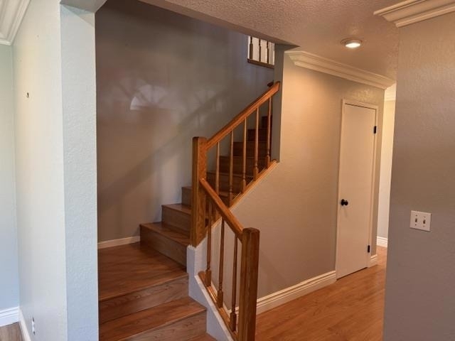 720 W 9th Street - Photo 3