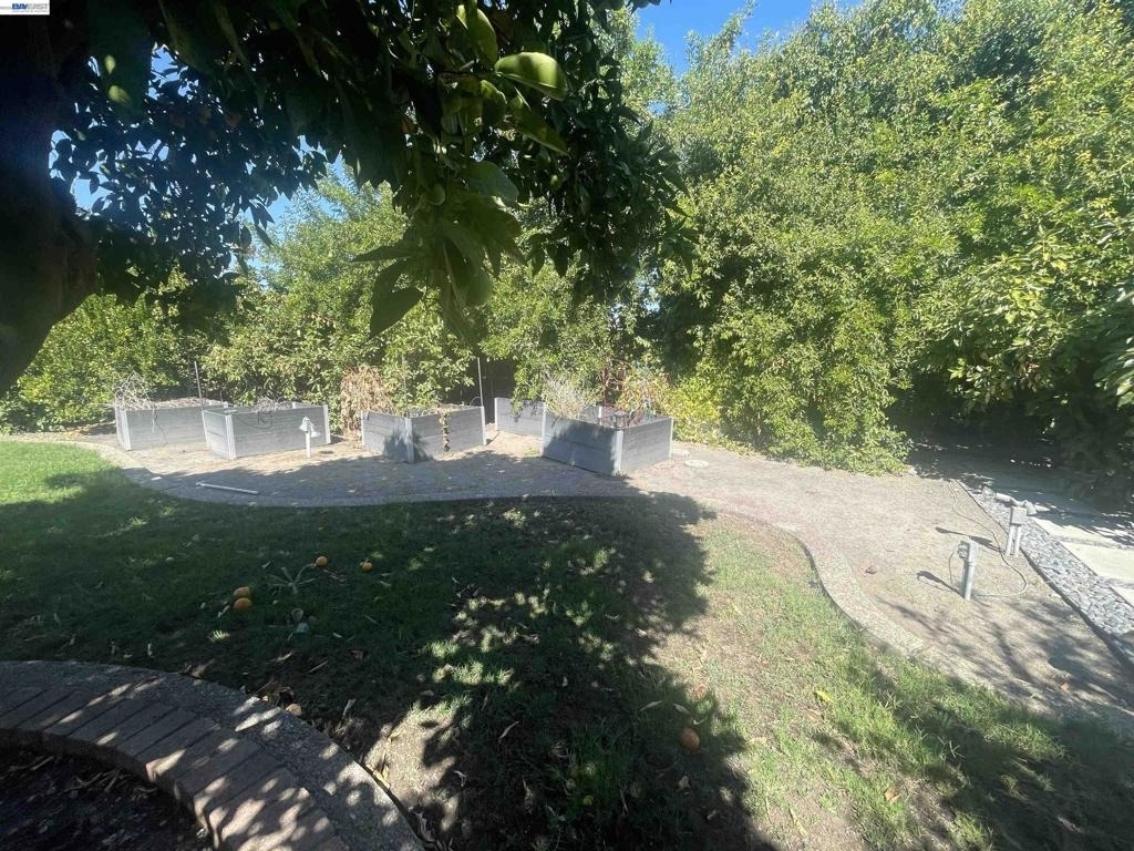 751 Los Pinos Ave - Photo 49