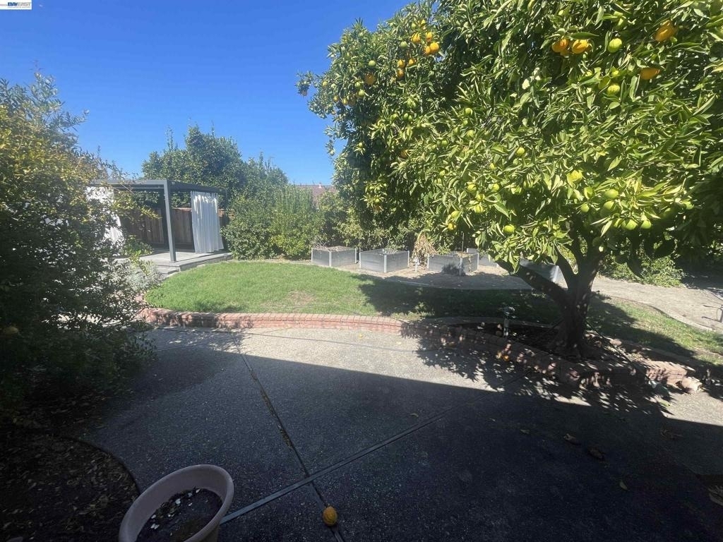 751 Los Pinos Ave - Photo 41