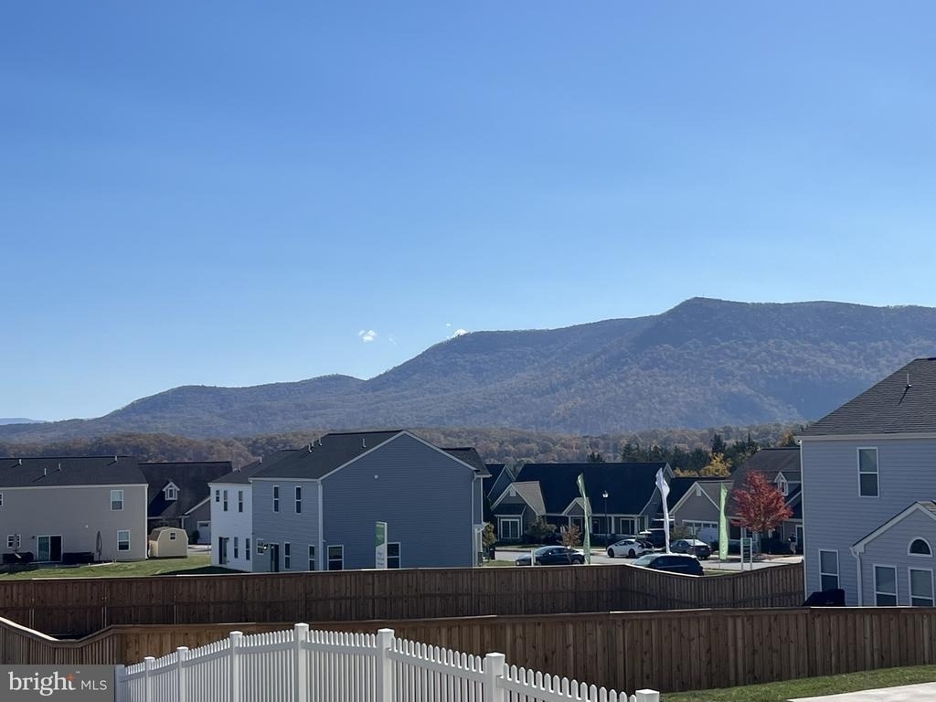 41 Signal Knob Cotta Drive - Photo 4