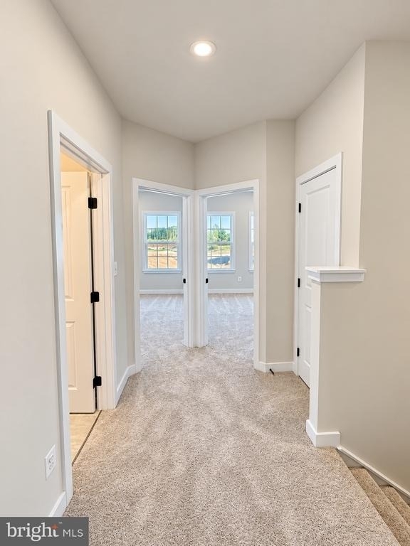 14404 Freedom Lane - Photo 14