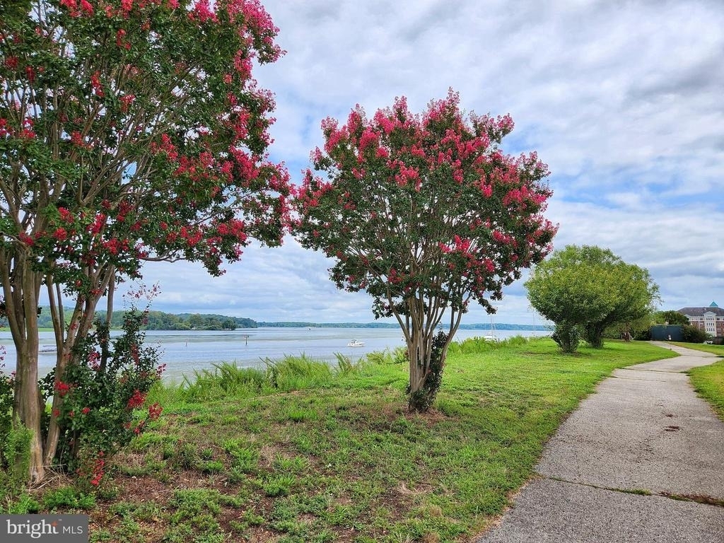 684 Belmont Bay Drive - Photo 37
