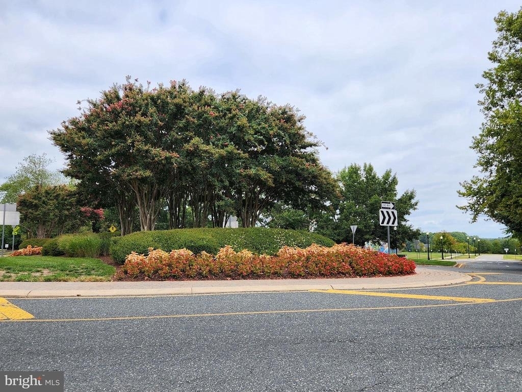 684 Belmont Bay Drive - Photo 32