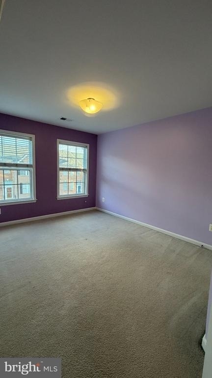 43017 Dearmont Terrace - Photo 14
