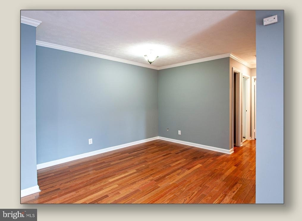 11206 Cherry Hill Road - Photo 9