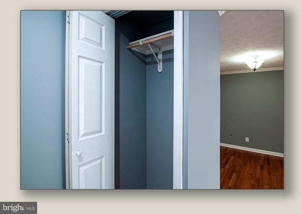 11206 Cherry Hill Road - Photo 7
