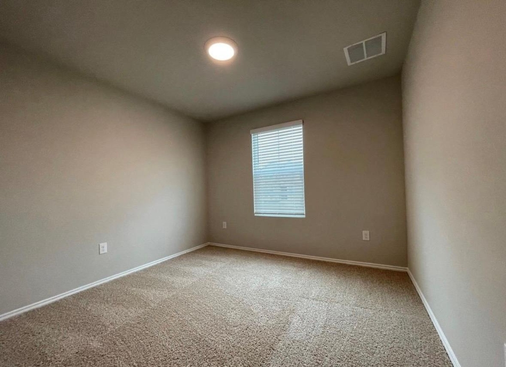 5805 Xene Dr - Photo 15