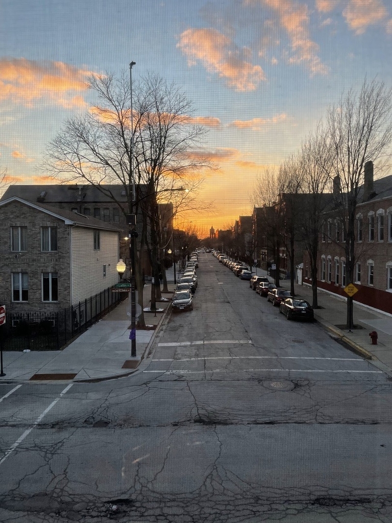 1831 S Laflin Street - Photo 8