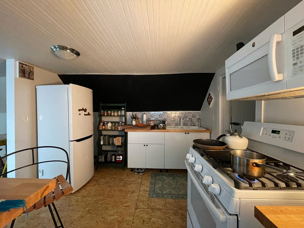 1831 S Laflin Street - Photo 4