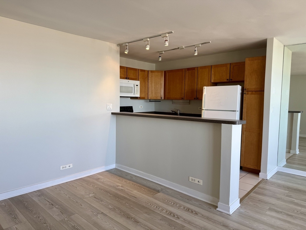 655 W Irving Park Road - Photo 4