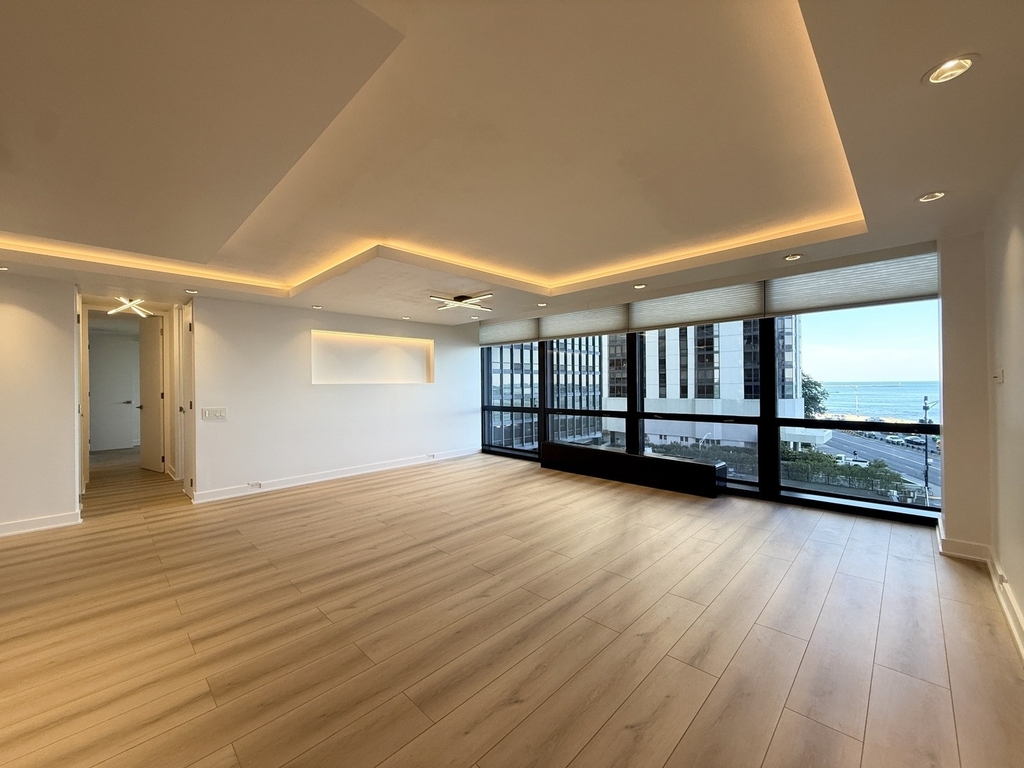 900 N Lake Shore Drive - Photo 1