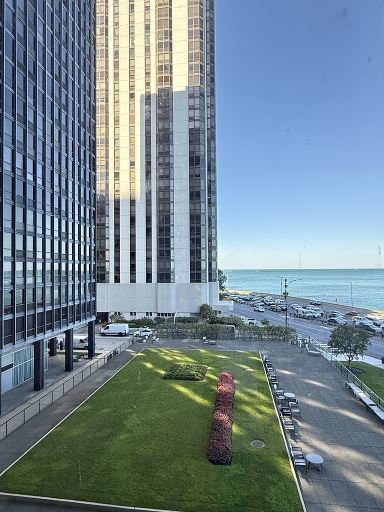 900 N Lake Shore Drive - Photo 15