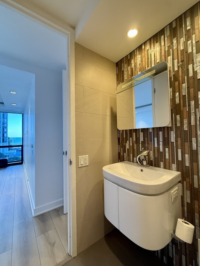 900 N Lake Shore Drive - Photo 9