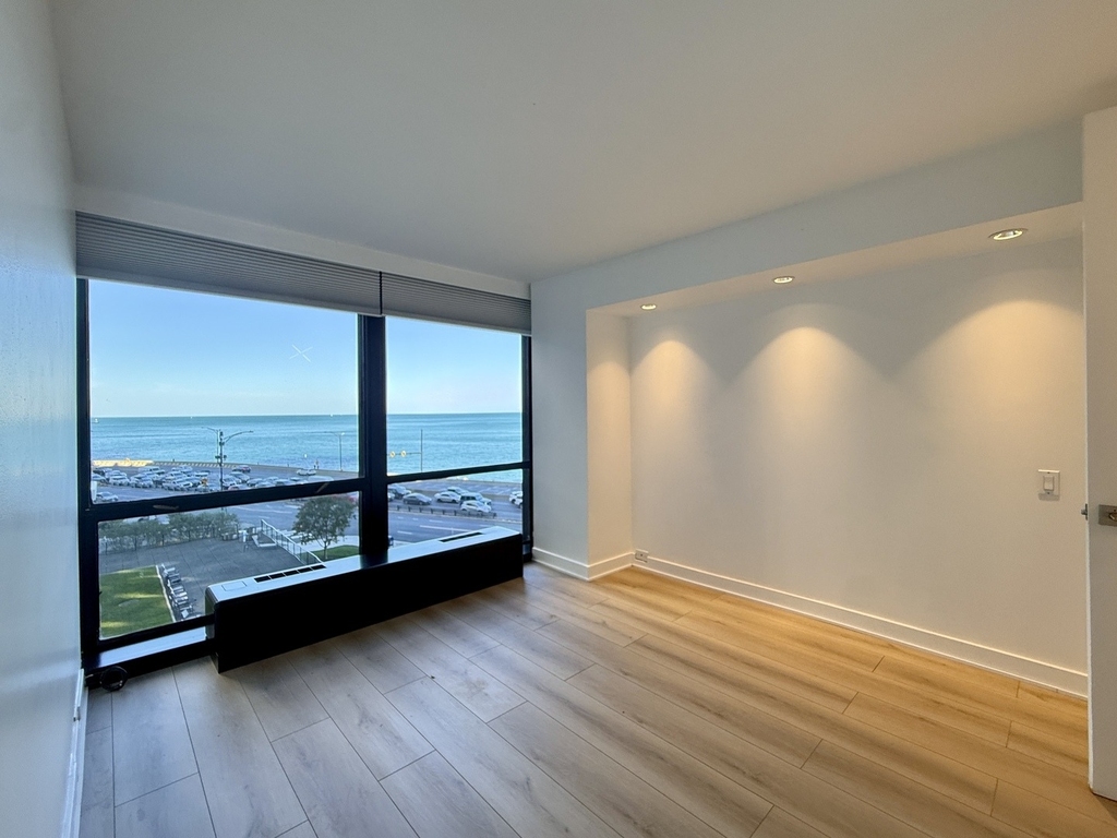 900 N Lake Shore Drive - Photo 12