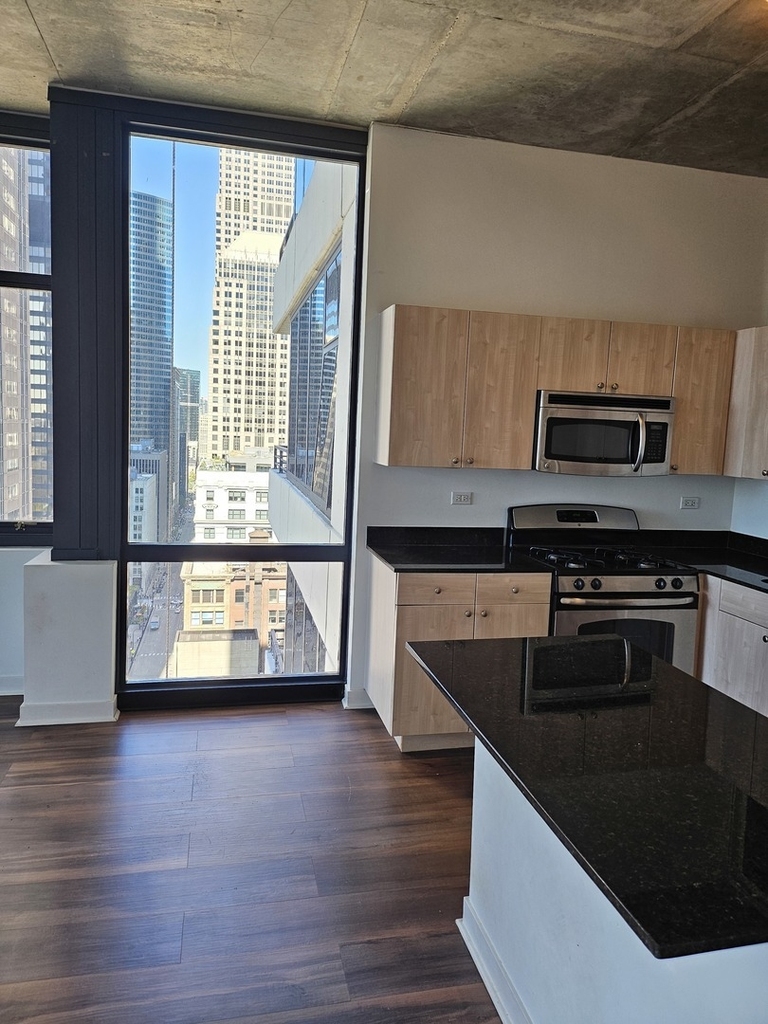 235 W Van Buren Street - Photo 6