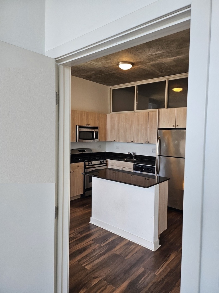 235 W Van Buren Street - Photo 10