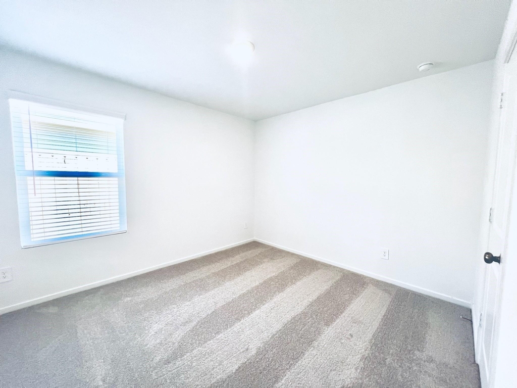 3011 Mallorca Drive - Photo 10