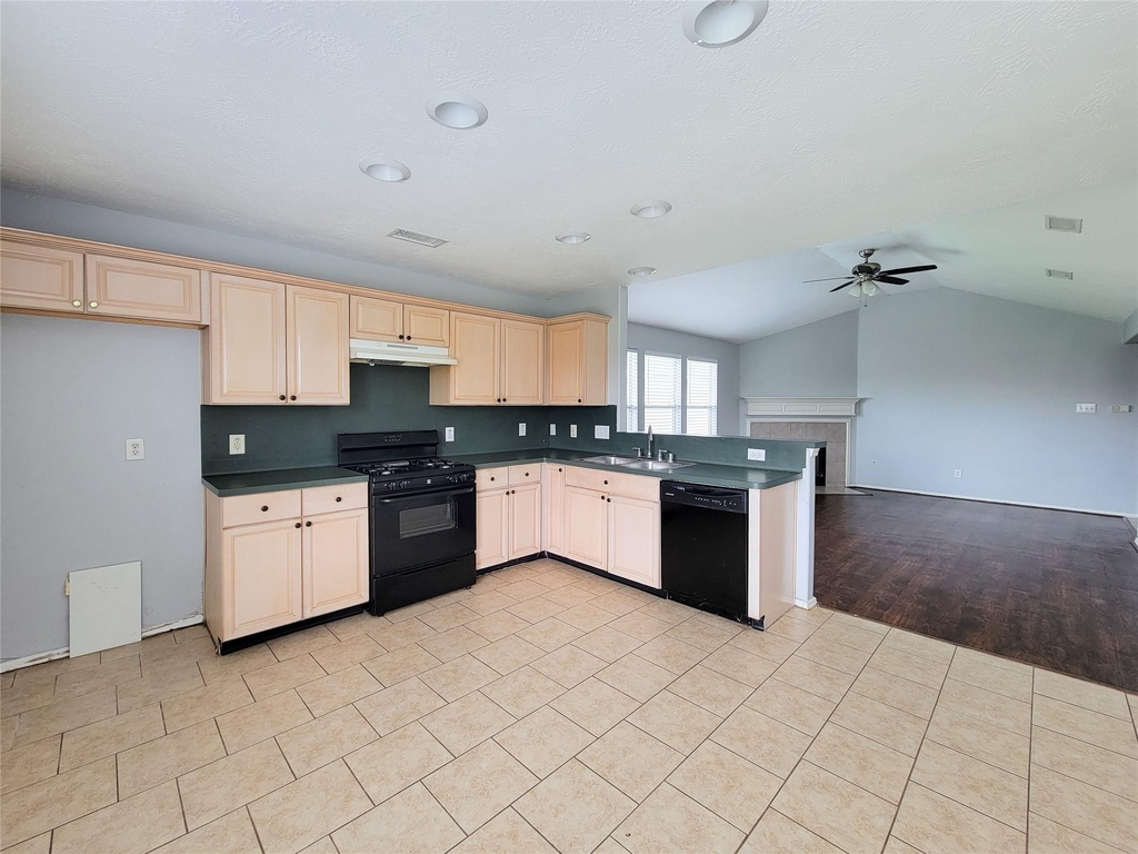 6411 Majesty - Photo 12