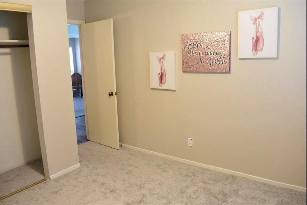 707 N Fork Court N - Photo 23