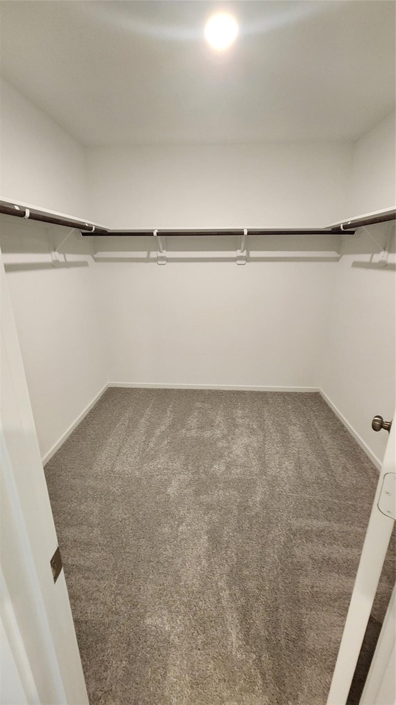 18659 Cepagatti Dr - Photo 23