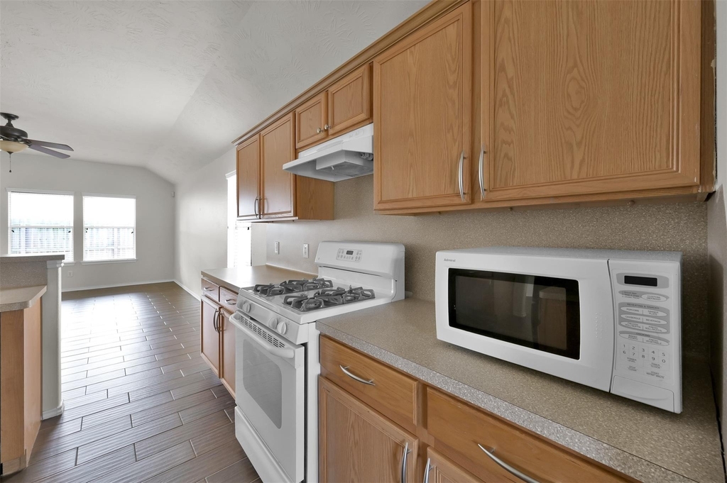 11510 Harbour Lake Court - Photo 9