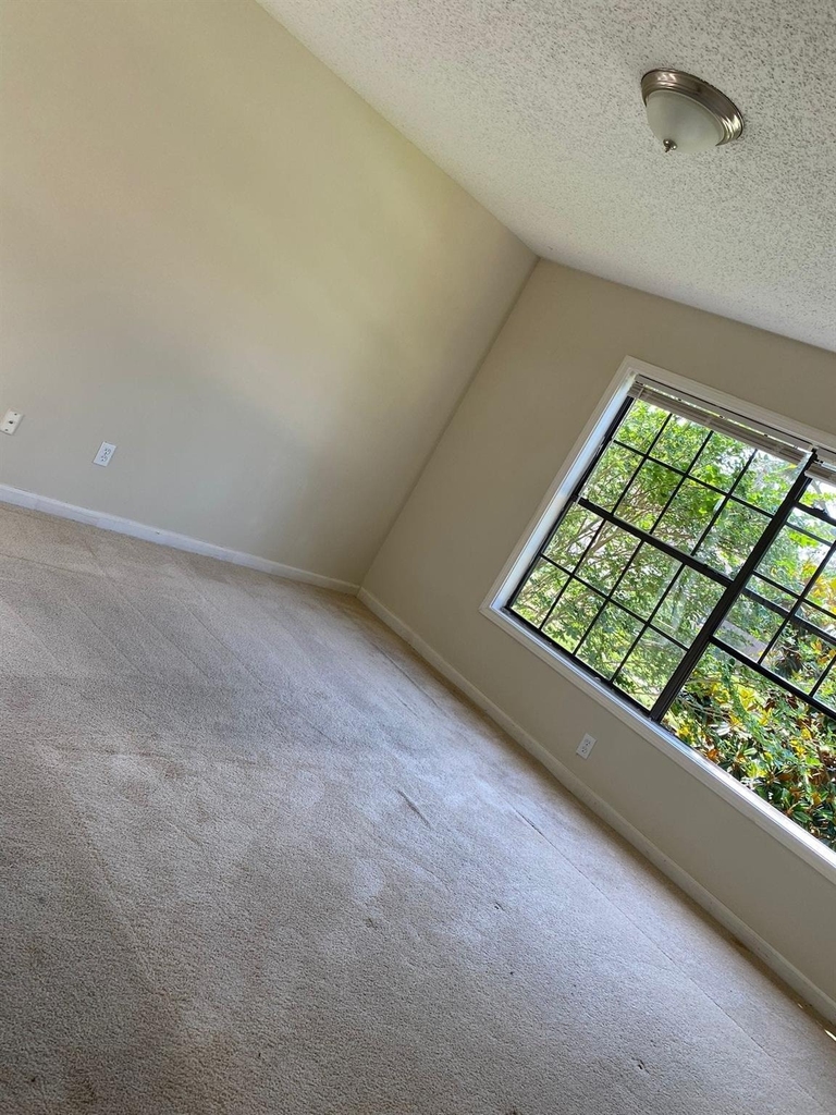 18638 Sweetjasmine Lane - Photo 29