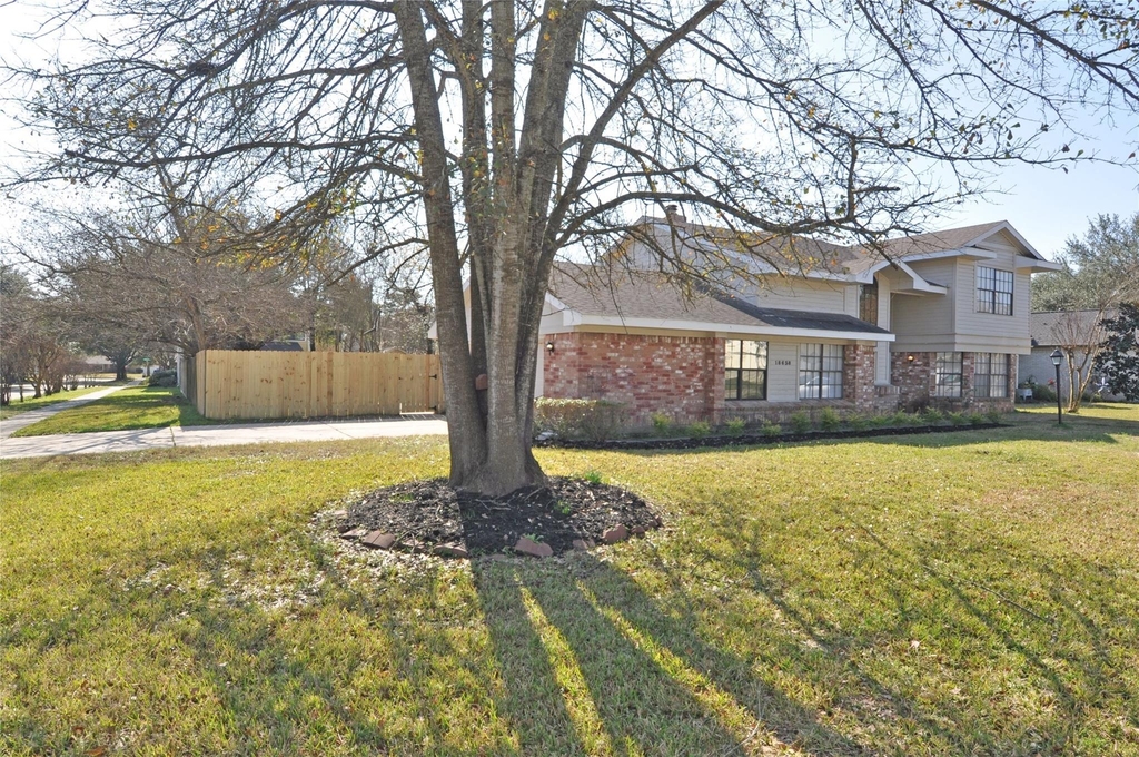 18638 Sweetjasmine Lane - Photo 1