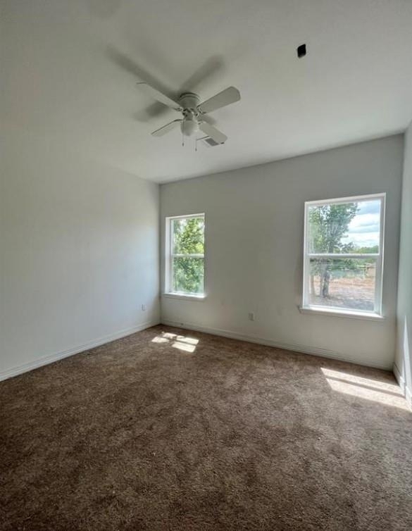 7205 Carver Road - Photo 5