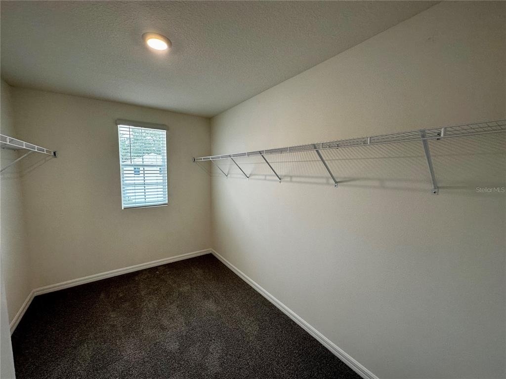 36711 Spanish Rose Drive - Photo 18