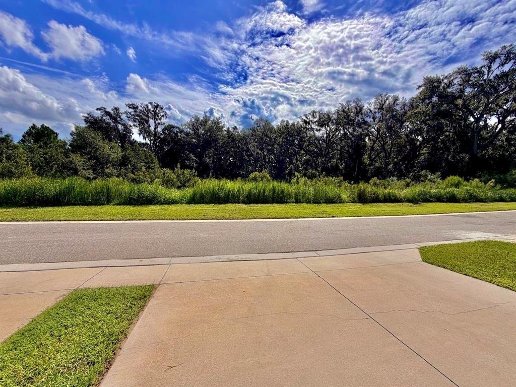 5062 Avalon Park Boulevard - Photo 24