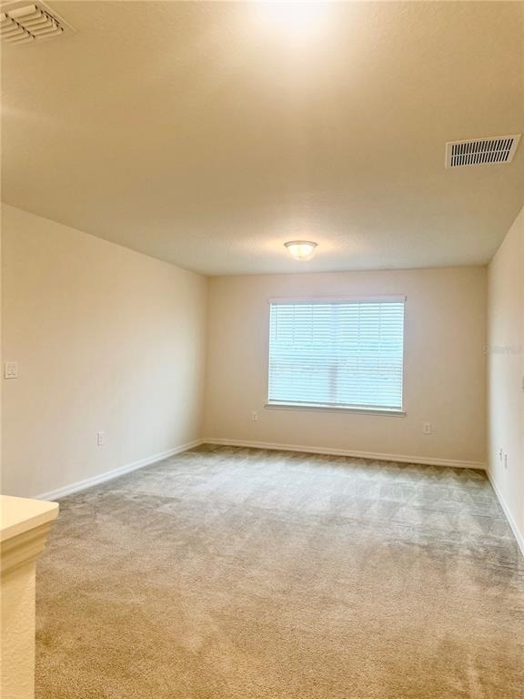 5831 Soter Lane - Photo 17