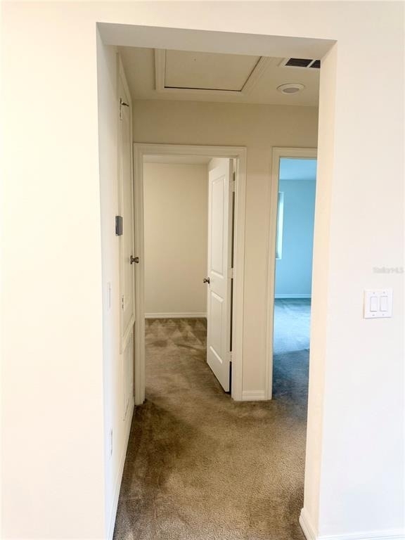 5831 Soter Lane - Photo 19