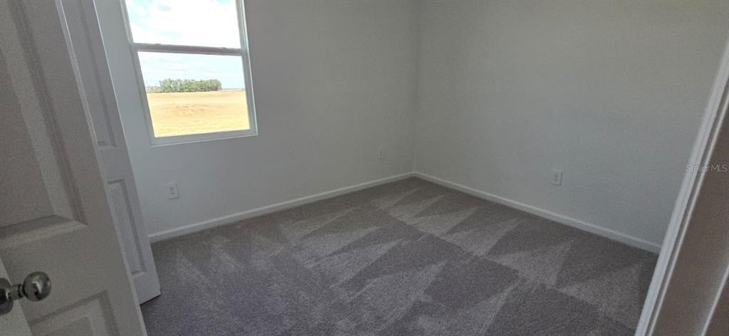 2451 Bluestone Road - Photo 9
