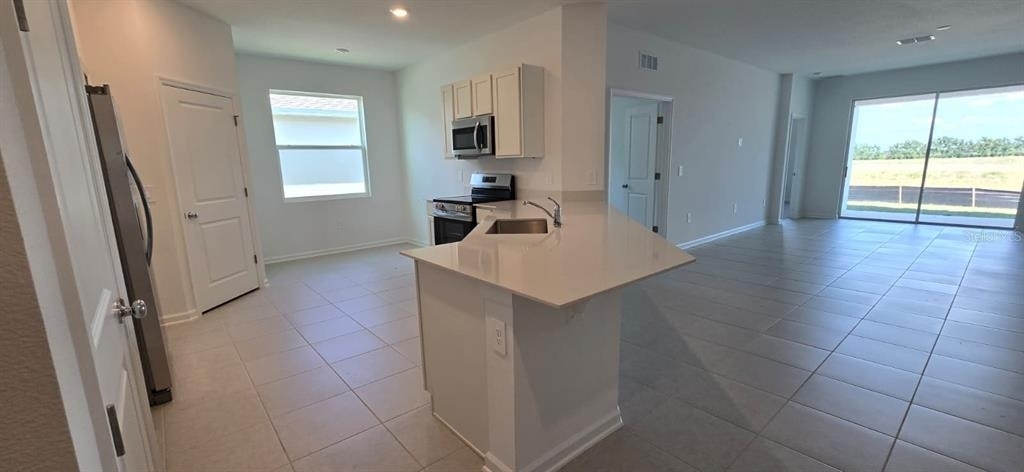 2451 Bluestone Road - Photo 4