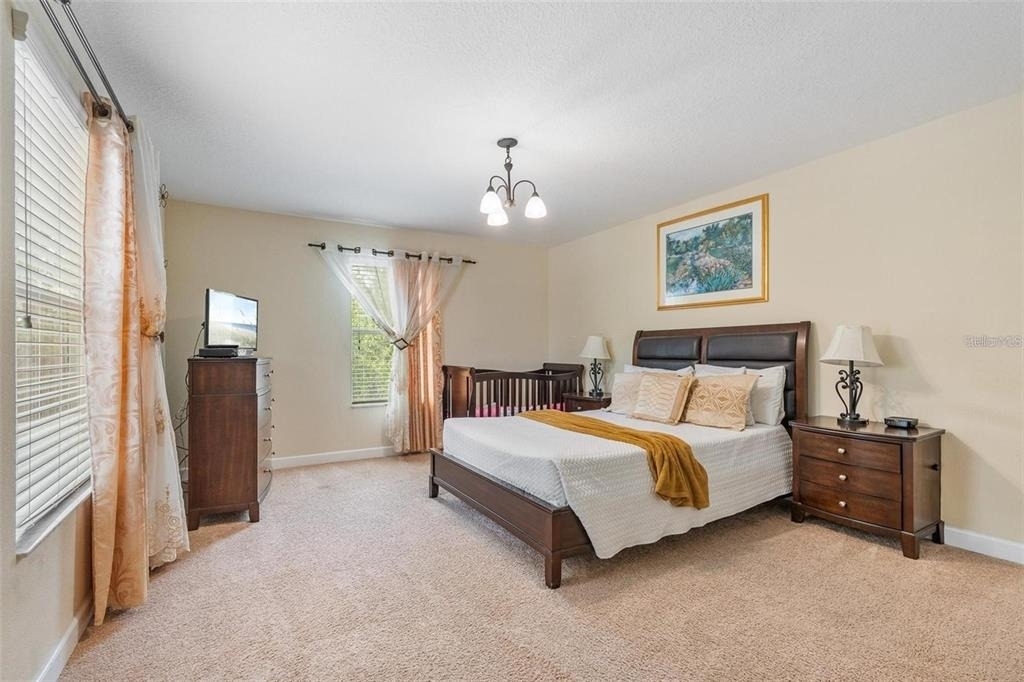 2900 Banana Palm Drive - Photo 20