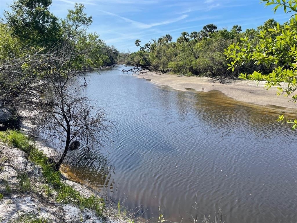 229 Shore Road - Photo 22