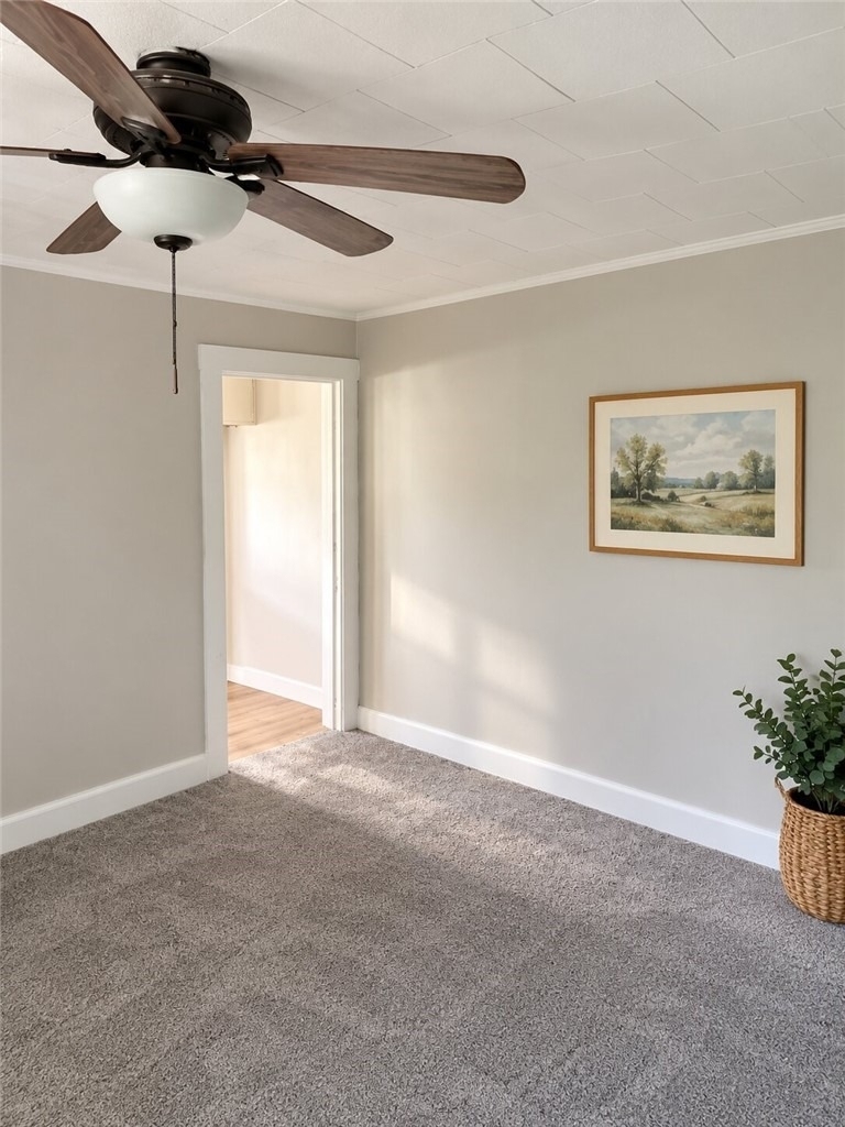 875 Vankrirk St. - Photo 8