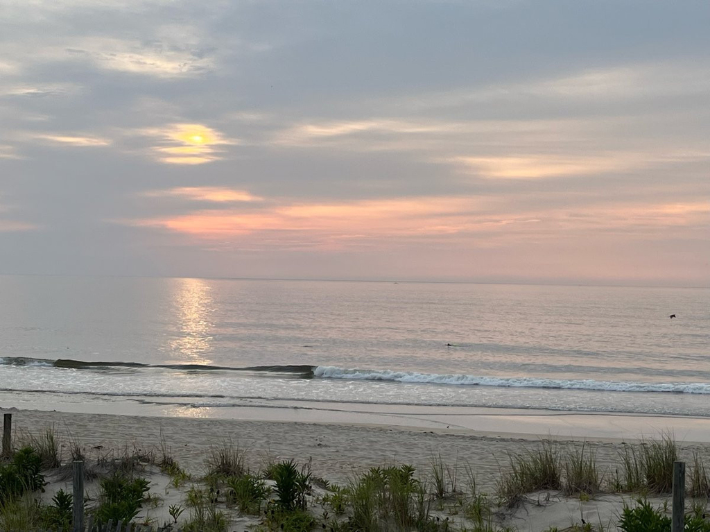 1201 Ocean Avenue - Photo 30