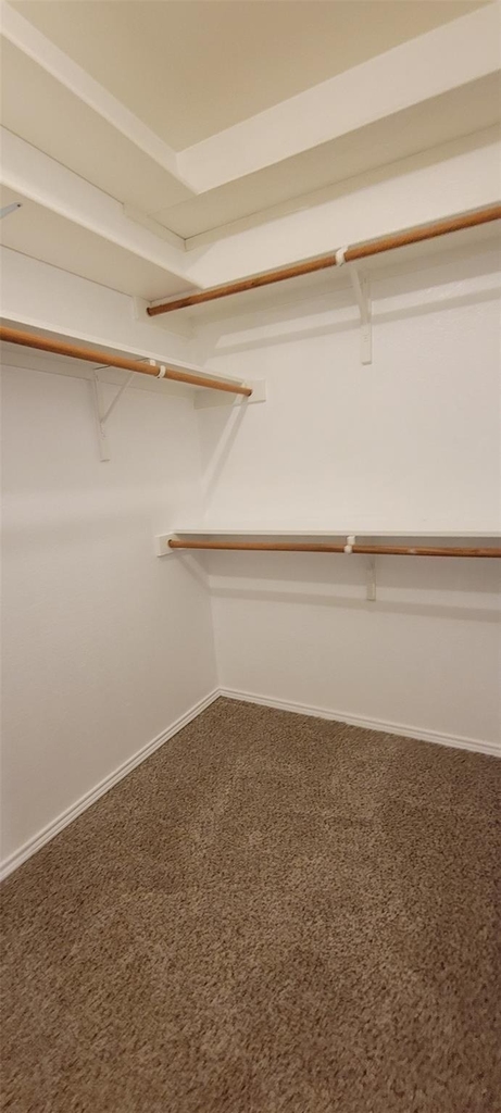 9509 Crooked Cat Drive - Photo 22