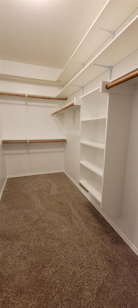 9509 Crooked Cat Drive - Photo 23