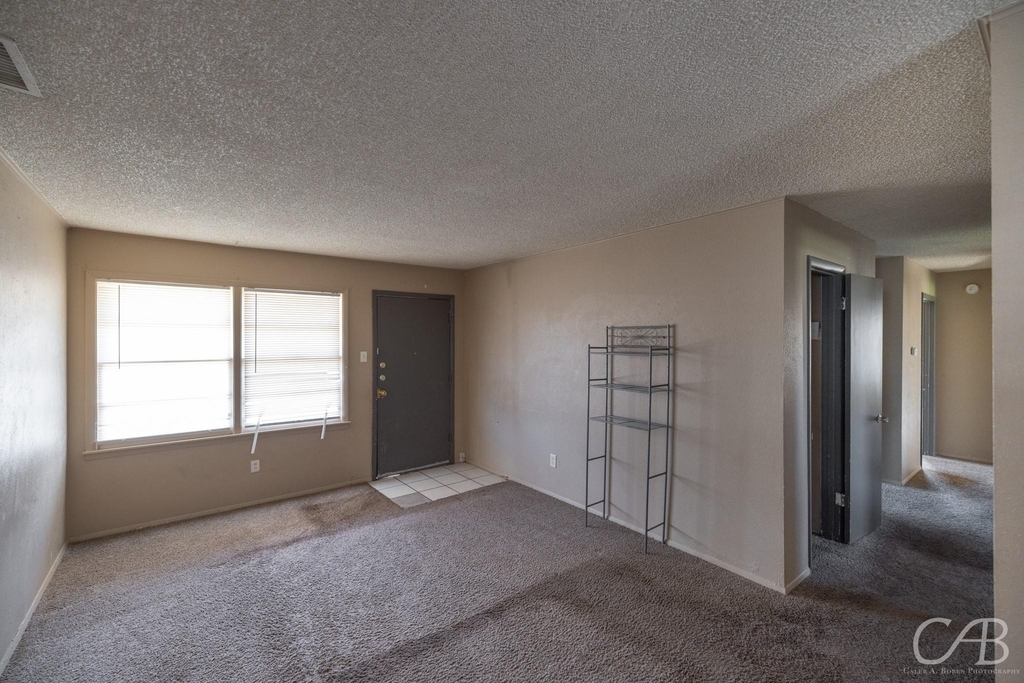 3218 Post Oak Road - Photo 1