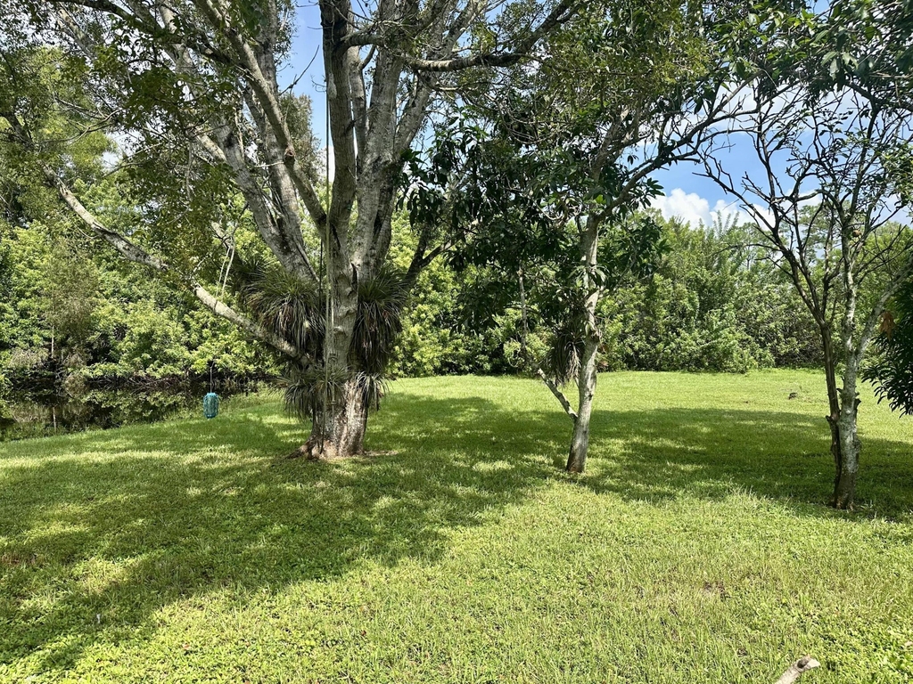 13399 53rd Court N - Photo 7