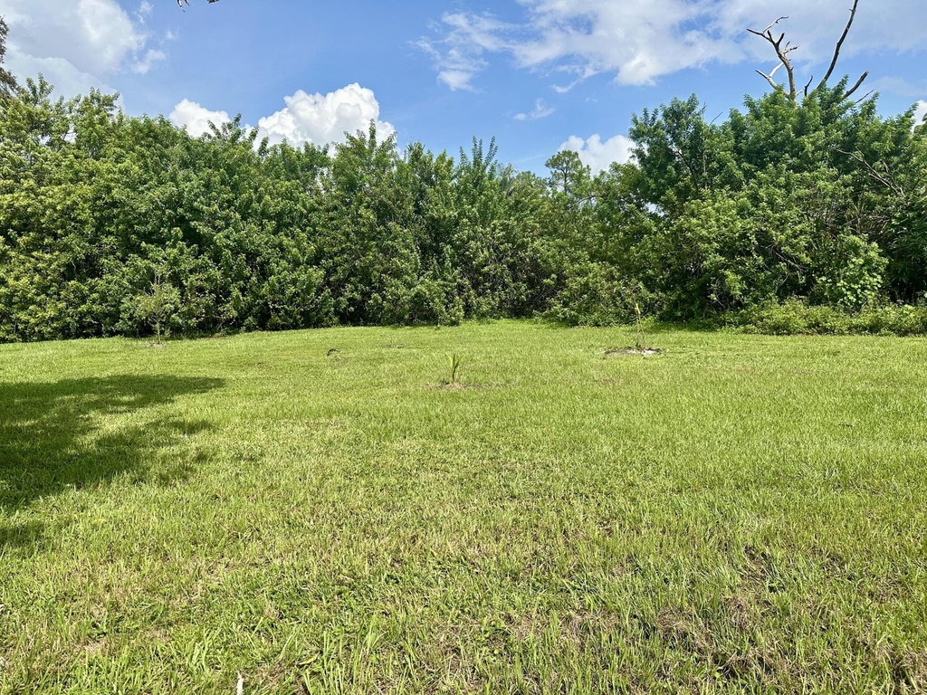 13399 53rd Court N - Photo 6