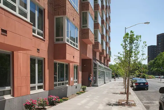 245 East 124th Street - Photo 8