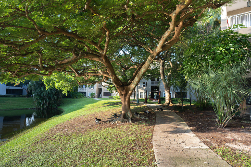 1865 Palm Cove Boulevard - Photo 29