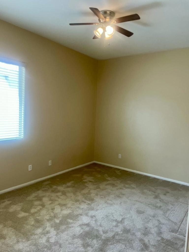 49634 Wayne Street - Photo 18