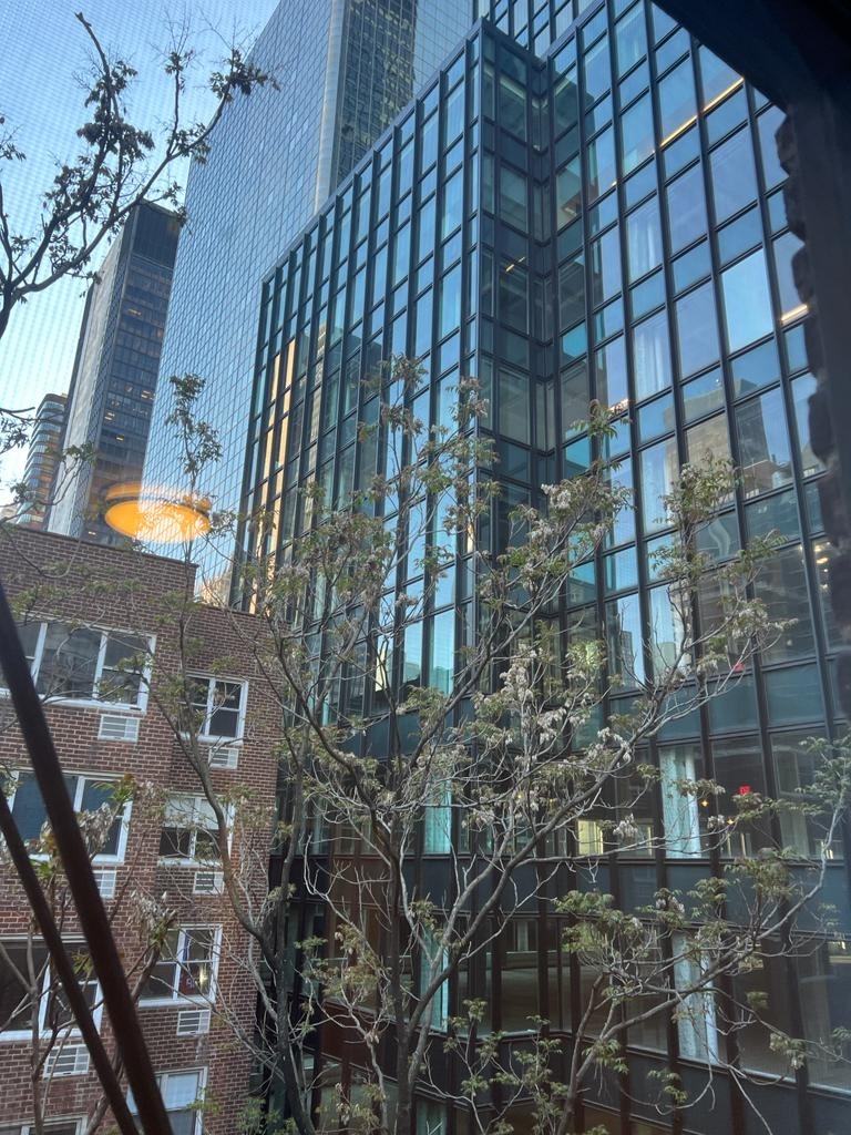 East 51st Street - Photo 6