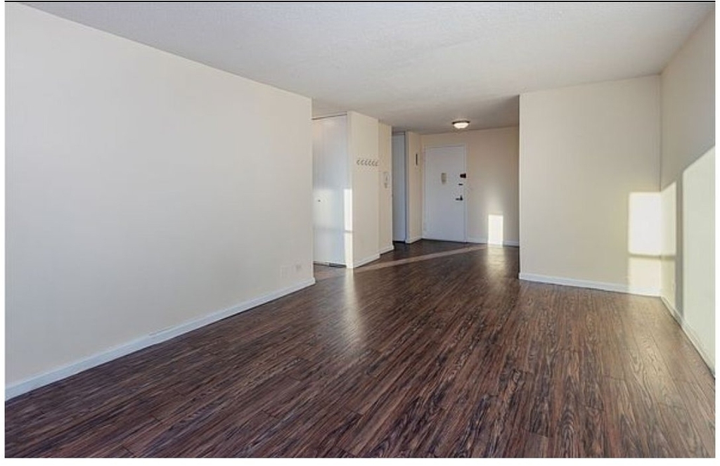 301 E 79th Street - Photo 3