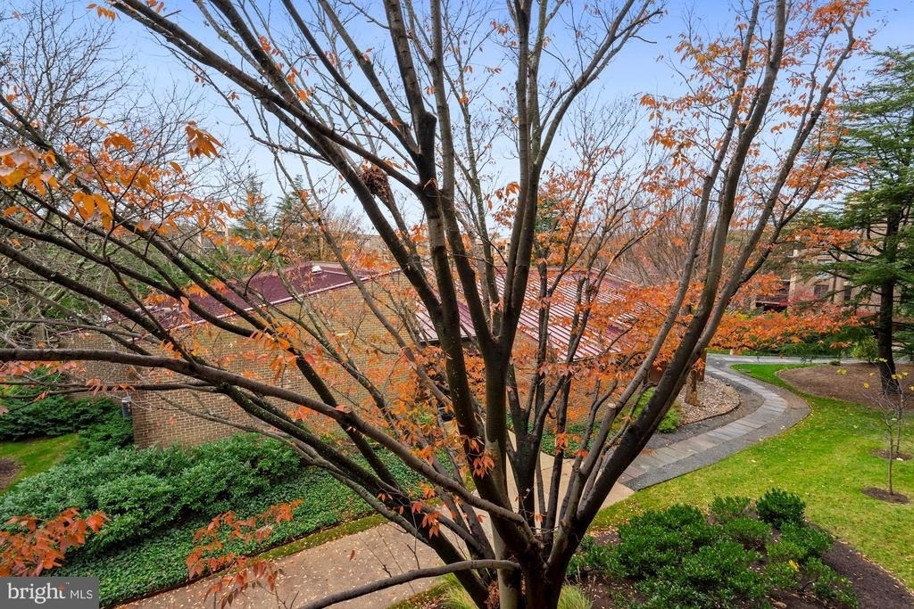803 N Howard Street - Photo 24