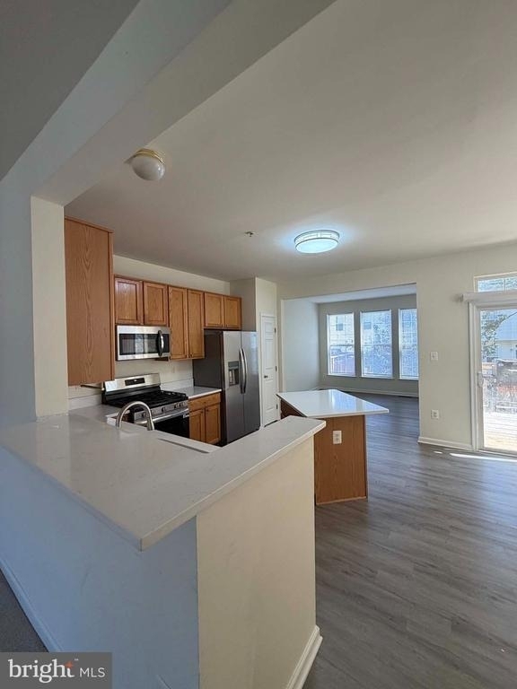 1707 Peach Blossom Court - Photo 11
